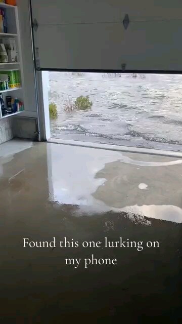 Taking Ocean Front Property to A Whole New Level 1/16/2024