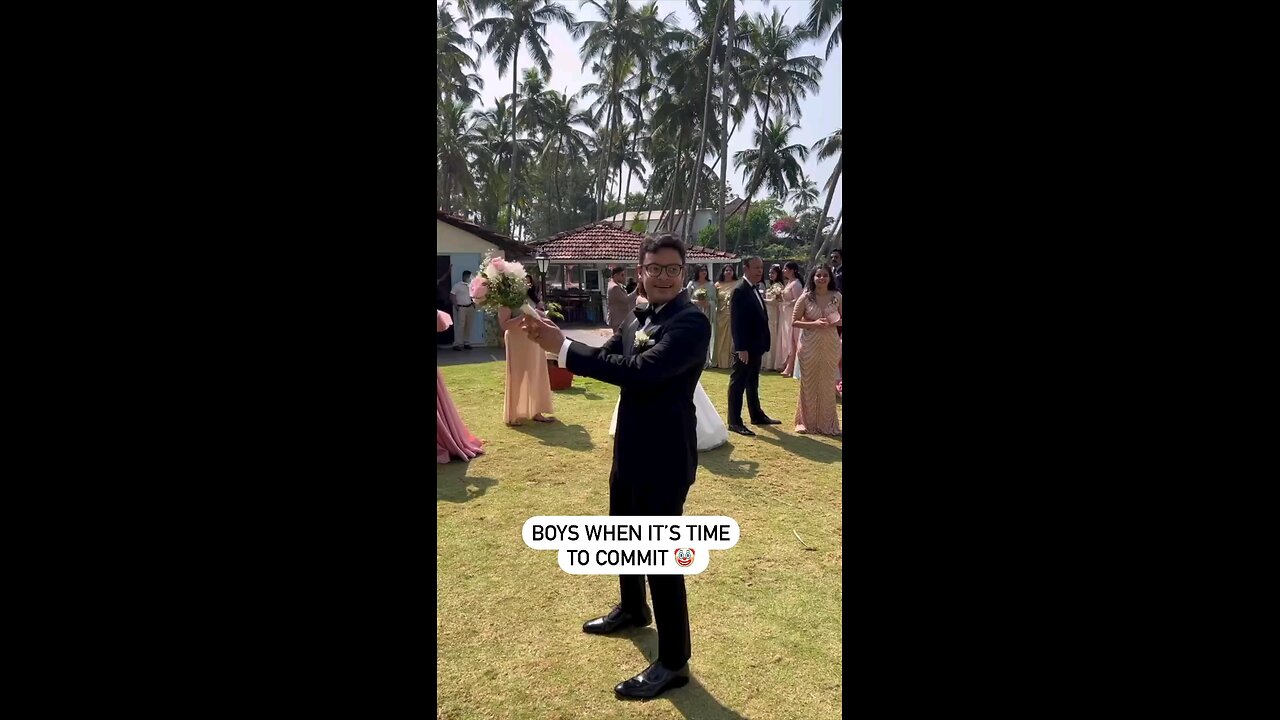 funny videos