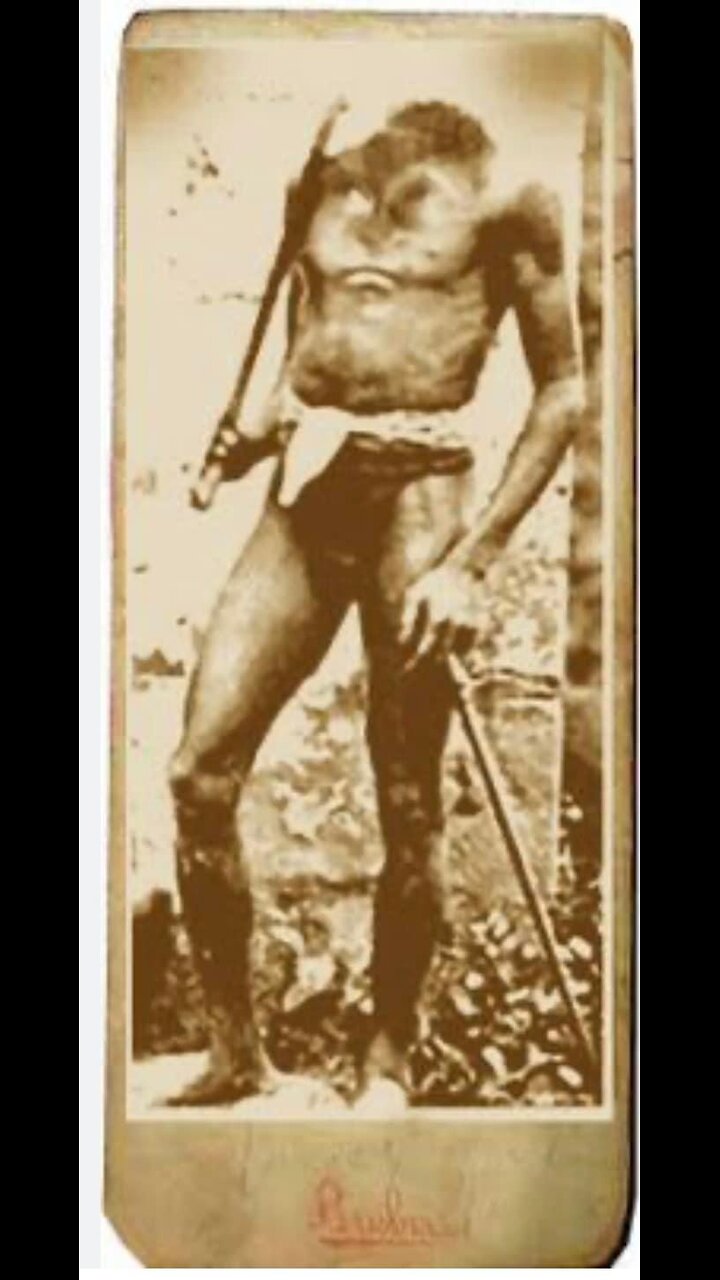 The Blemmyes: Unveiling the Reality Behind the Myth of the Headless Men