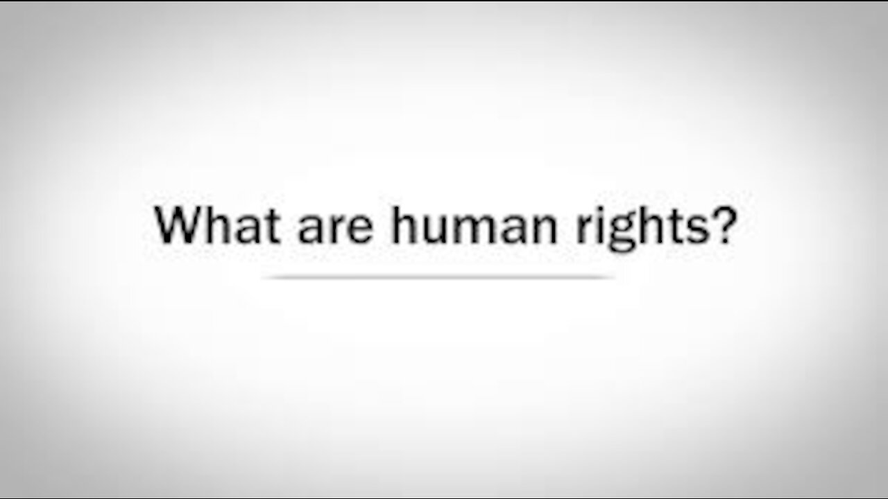 The Story of Human Rights