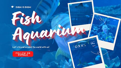 Dubai Fish Aquarium