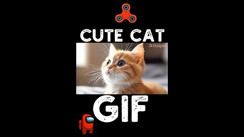 Cute Cat Gif