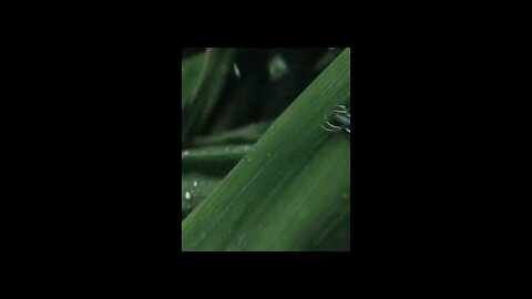 movies clip