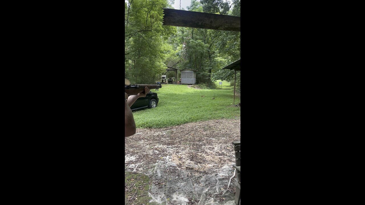 M1 Garand Quick Shoot