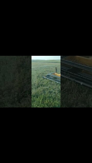 Knocking Hay down in ND! #shorts #hunting #haying #New Holland