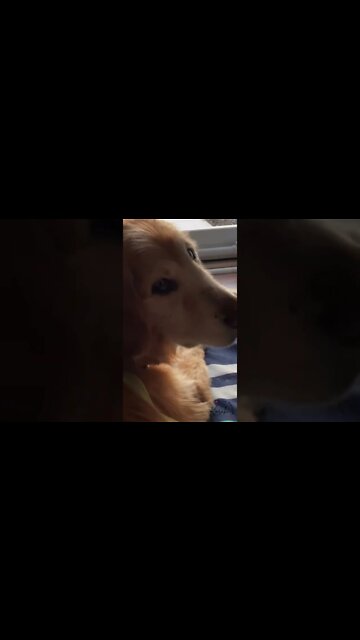 Its the little things 💜 | Made with love using #videoleapapp