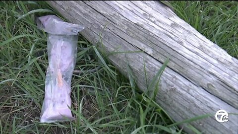 'A puppy, candy and popsicles': Parents describe stranger-danger incident in Highland Twp.