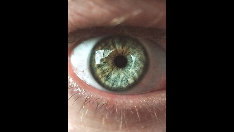 Episode 15: Millstone Offenses- Pizzagate Part III