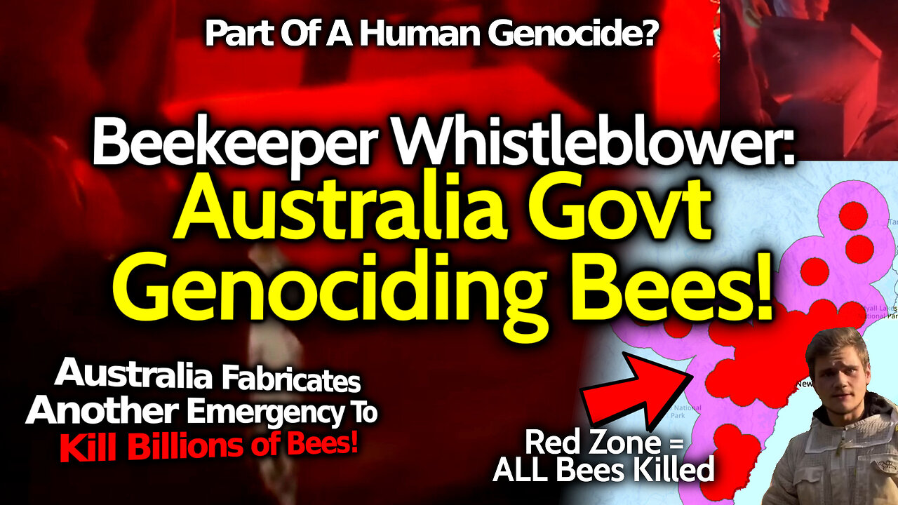 Beekeeper Whistleblower Shows Proof Aussie Govt MASS KILLING Bees: "The Govt Doesn't Want Us To Eat"