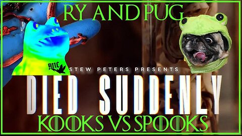 Ry & Pug: Died Suddenly Critique and Tear-Down