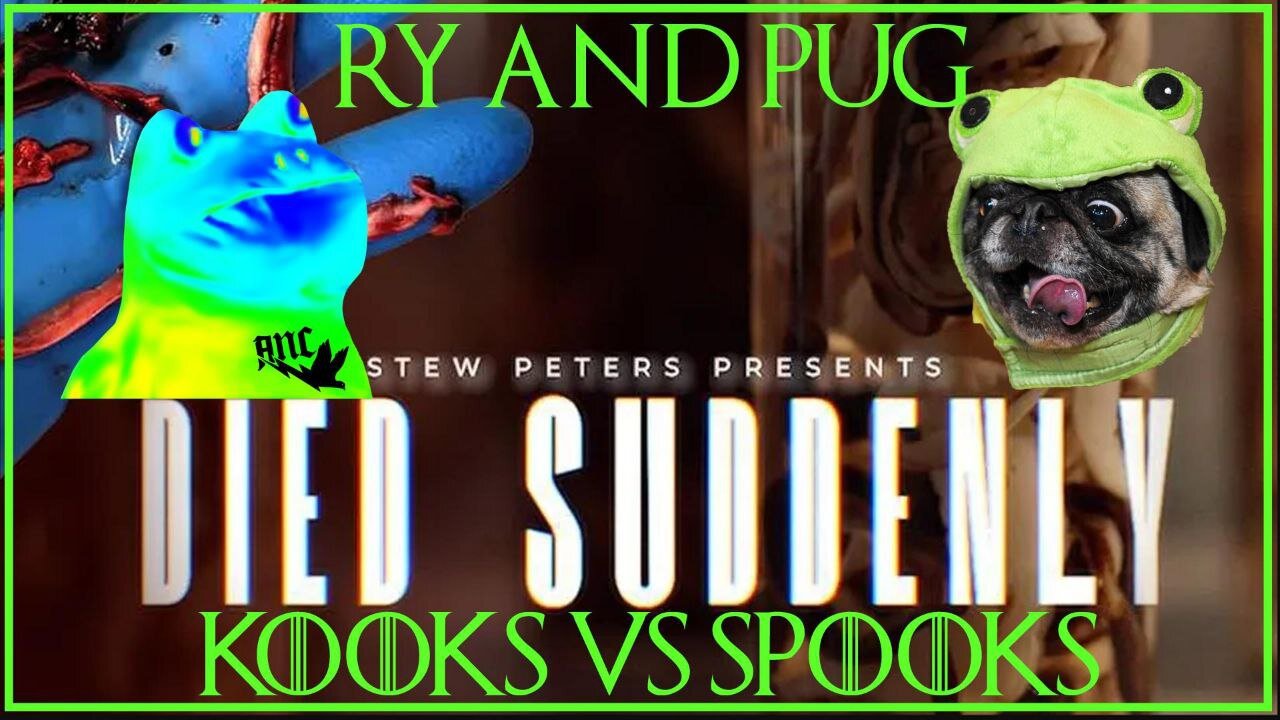 Ry & Pug: Died Suddenly Critique and Tear-Down