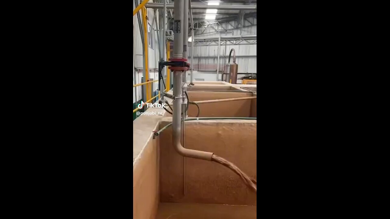 How make tequila in Mexico 🇲🇽