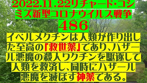 2022.11.22 リチャード・コシミズ新型コロナウイルス戦争４８６