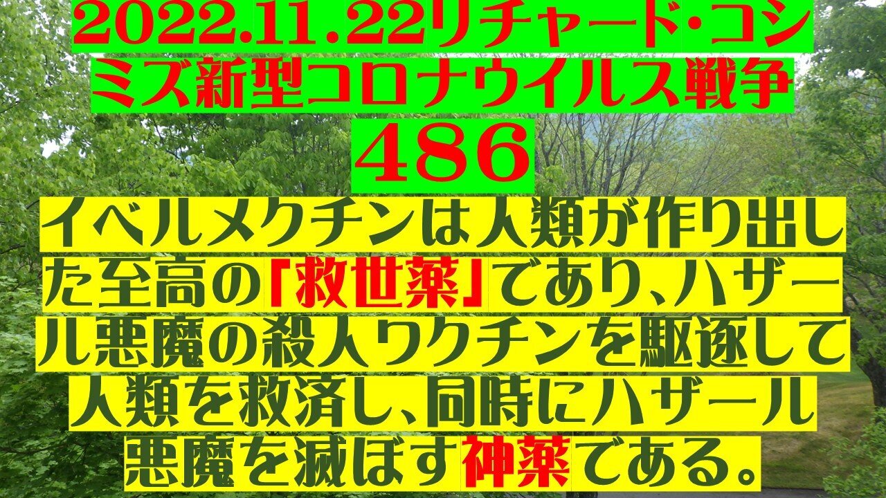 2022.11.22 リチャード・コシミズ新型コロナウイルス戦争486