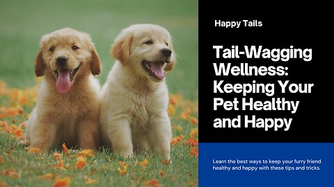 furry zen zone: elevate pet wellbeing by massage