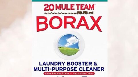 Why they banned borax in 30 countries? 🤔