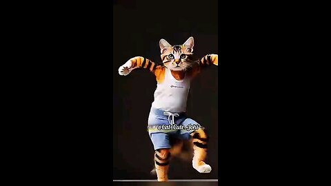 cute cat funny dance video | #funny #funnydance #ytshots #shortfeed #youtubes...