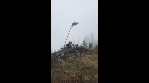 Still standing