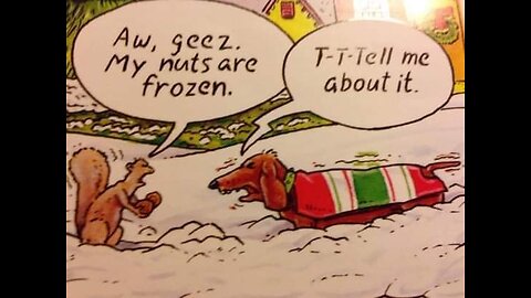 Kenny logging- nobody's fool