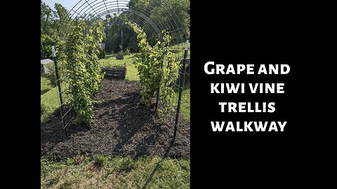 Trellis walkway. Grow up and over.