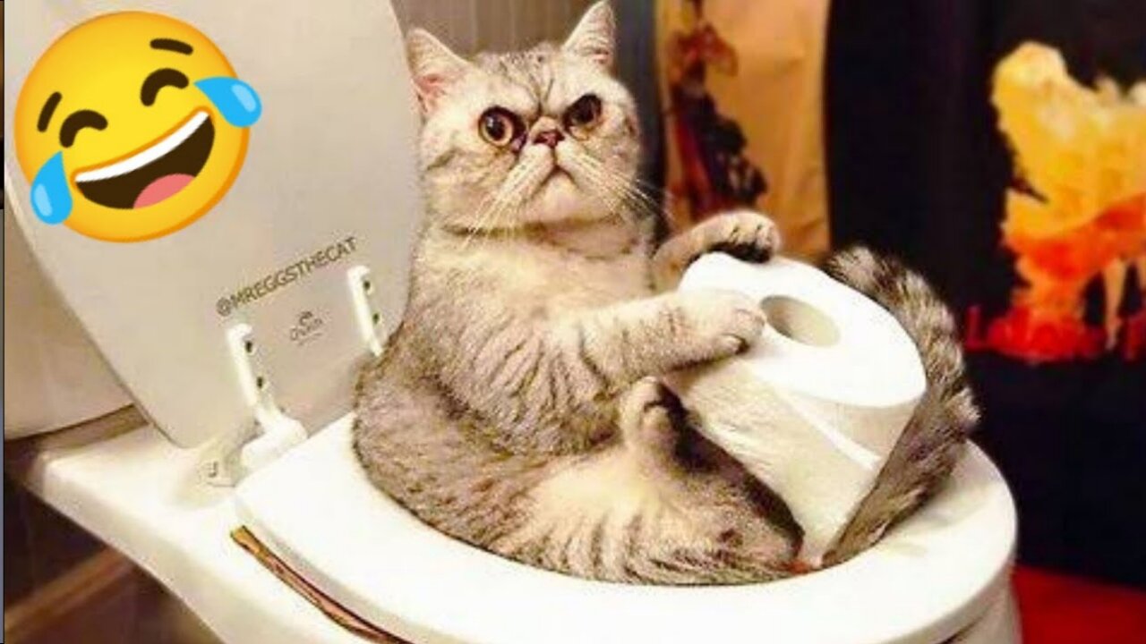 Funny Animals 2024 😂 Cute Cat And Dog Funny Videos 😸 Part 92