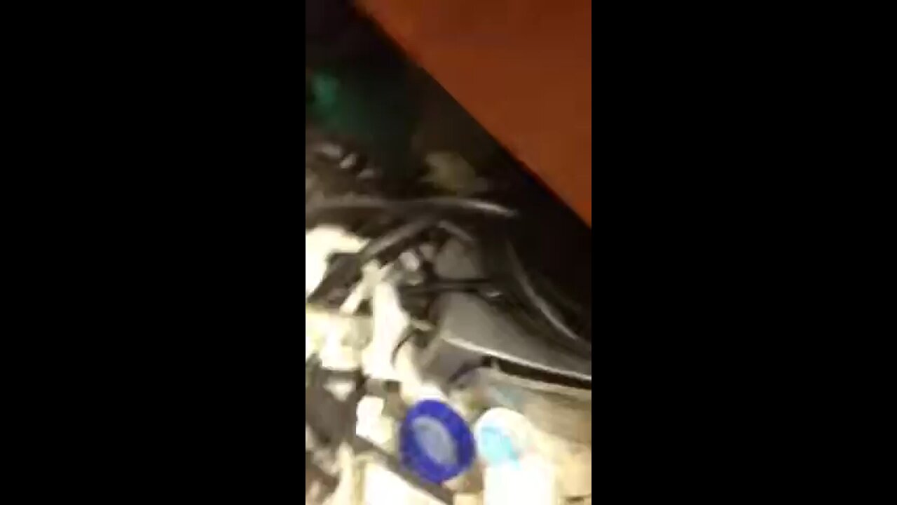 Angry barber