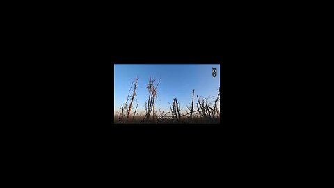 Russia Ukraine war
