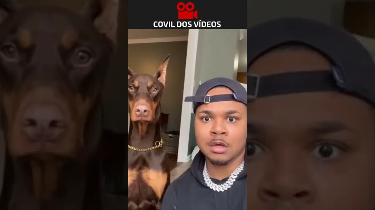 que sacanagem com o cachorro 😂😂😂