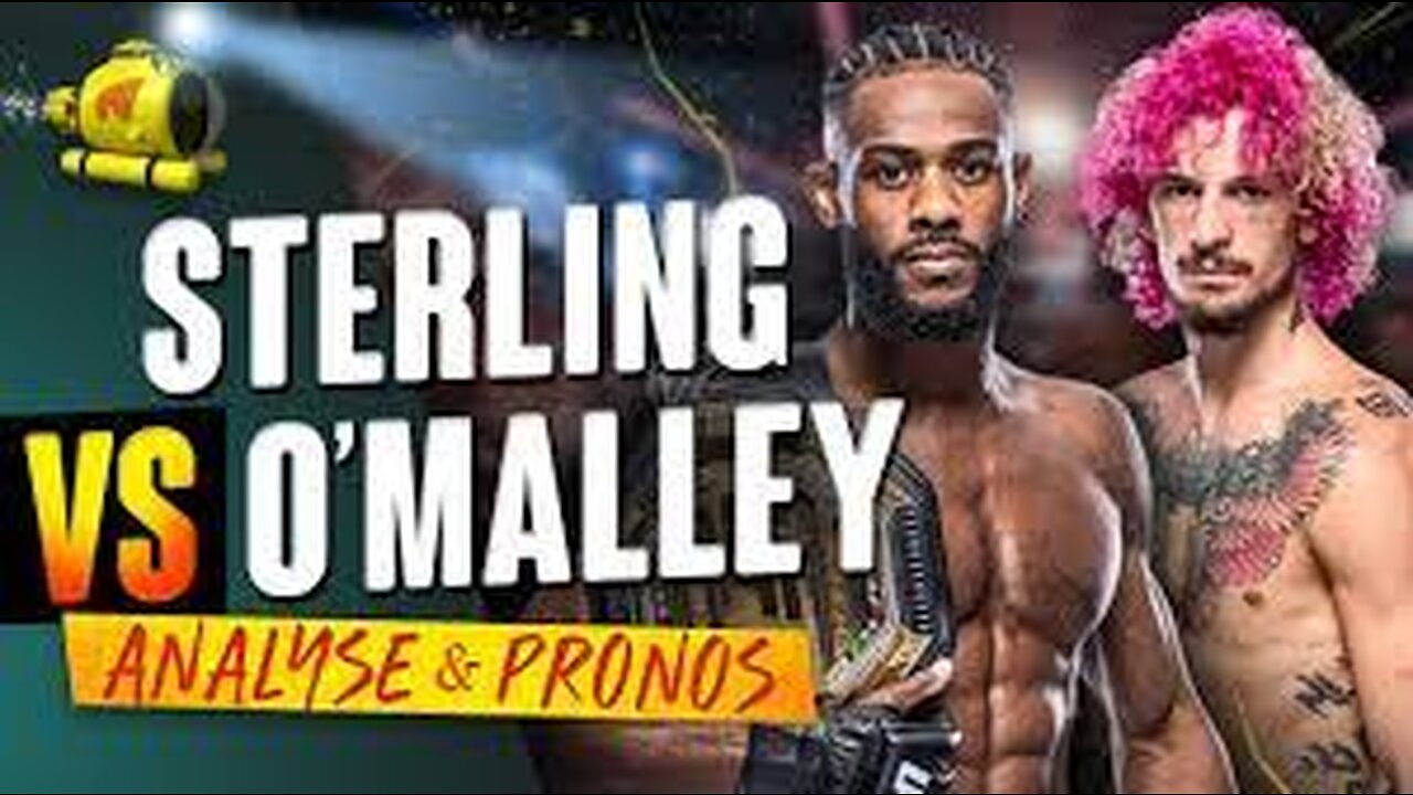 Sean O’Malley KOs Aljamain Sterling at UFC 292