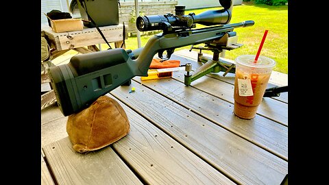 Ruger 10/22 LIVES AGAIN!