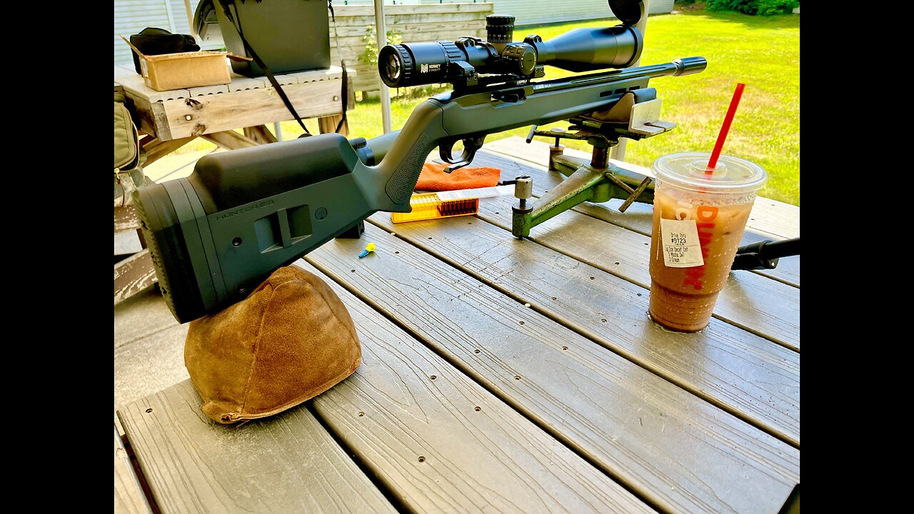 Ruger 10/22 LIVES AGAIN!