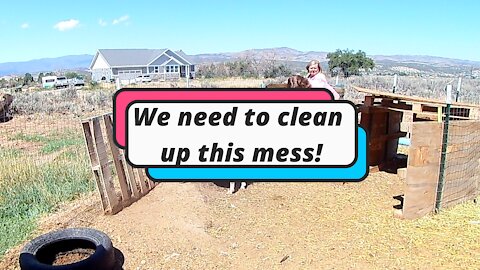 We need to clean up this mess! Prepping for changes.