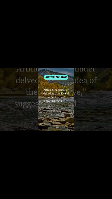 Schopenhauer on the will Desires lead to suffering in the human experience 🌊