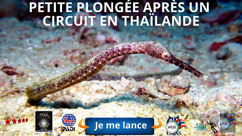 🤿 Petite plongée après un circuit en Thaïlande a koh sak et koh krock,