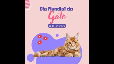 how to train cats