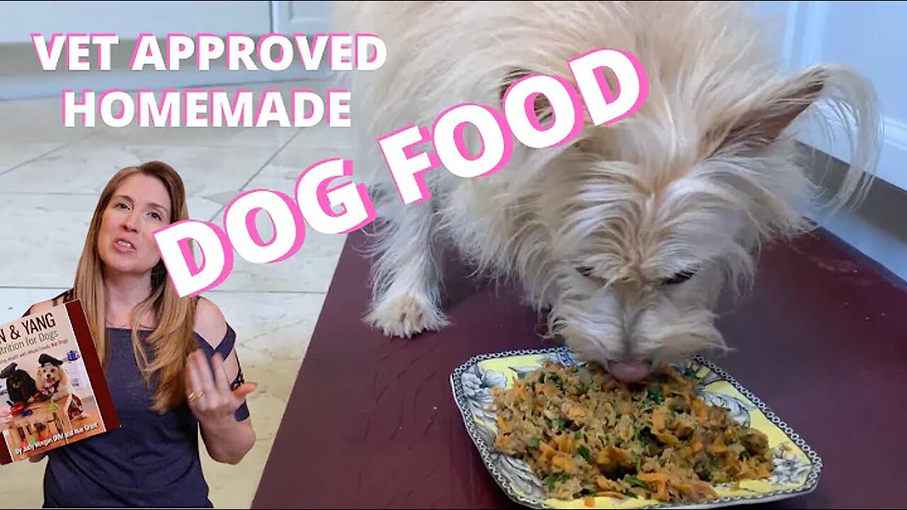 Healthy Homemade Dog Food Recipe Vet Approved