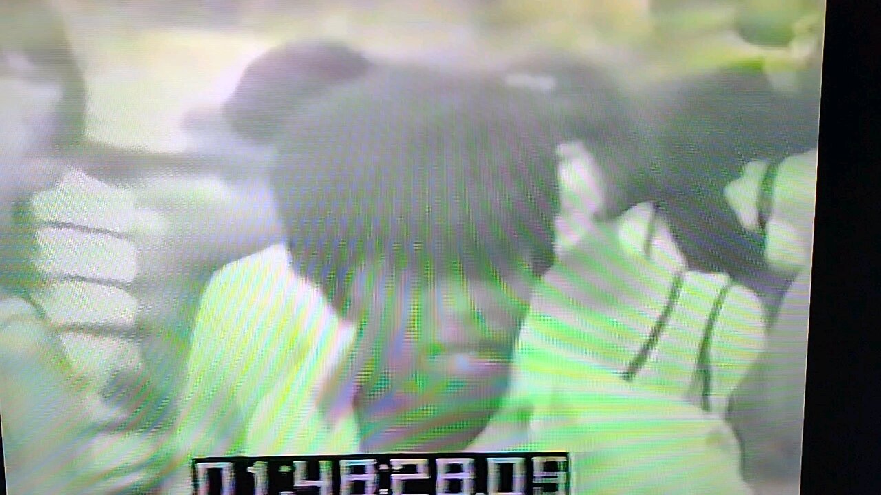 James Brown 1965 Please Please (Where The Action Is)