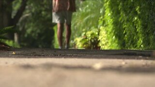 'I think it’s overkill' Neighbors concerned over Pelican Bay sidewalk expansion