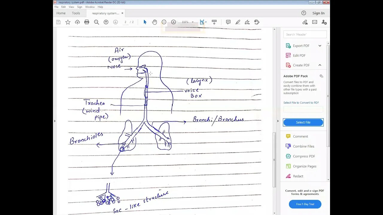 SCIENCE CLASS 7 5 04 2021