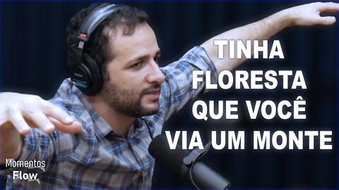 ACABARAM COM A FLORESTA DE ARAUCÁRIA NO PARANÁ | MOMENTOS FLOW