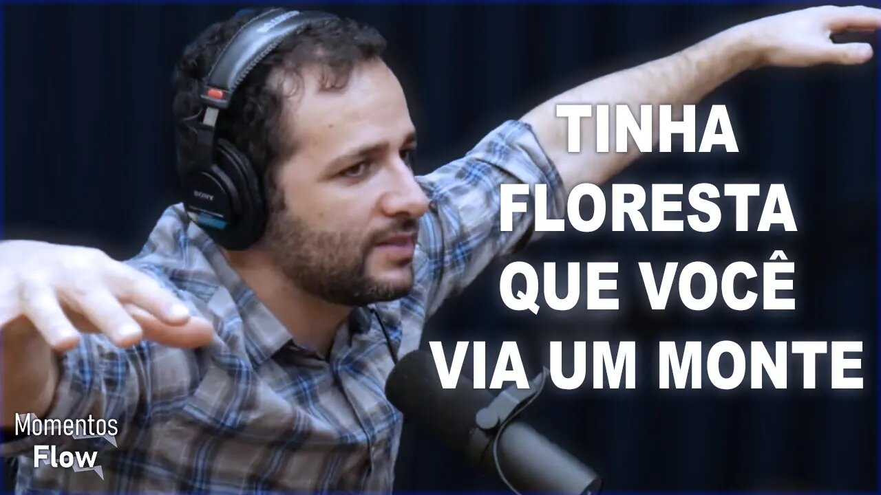 ACABARAM COM A FLORESTA DE ARAUCÁRIA NO PARANÁ | MOMENTOS FLOW