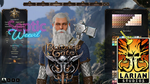 Baldur's Gate 3. Paladin, Episode 1,Character Creation