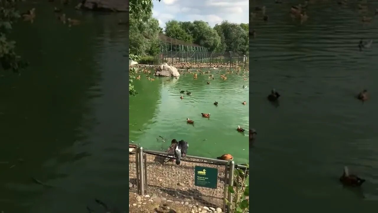 Moscow Zoo. From Russia with Love ❤