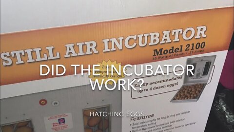 Did the Incubator work?