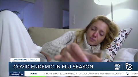 Covid endemic in flu season