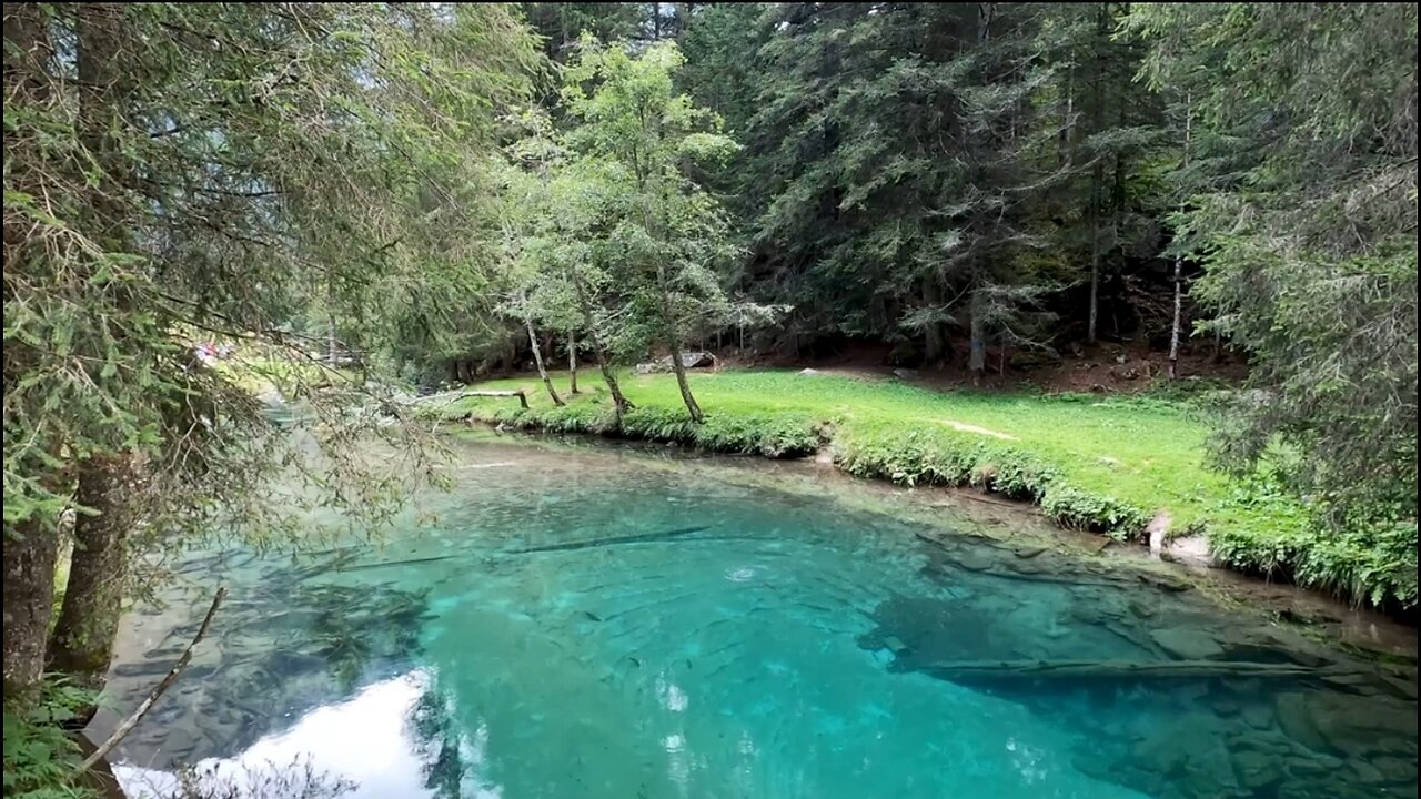 Enjoyment and peace by seeing forest, sea, green trees