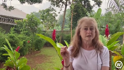 Testimony from Uganda | Heidi | CCMC 2021