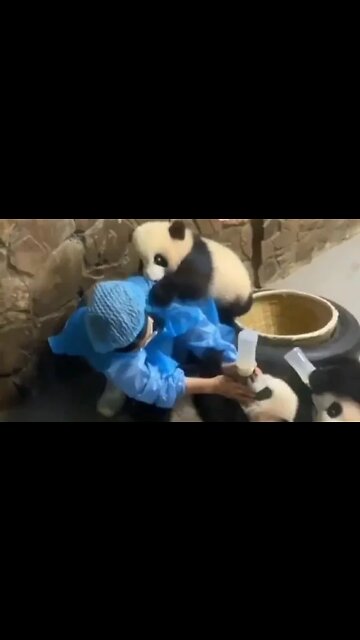 QUANDO O FILHO É BAGUNCEIRO🤣🤣🤣