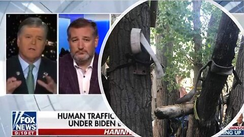 RAPE TREES, UNDERWEAR TREES, SHOE TREES, (THE FOOTAGE NOT AIRED ON HANNITY)