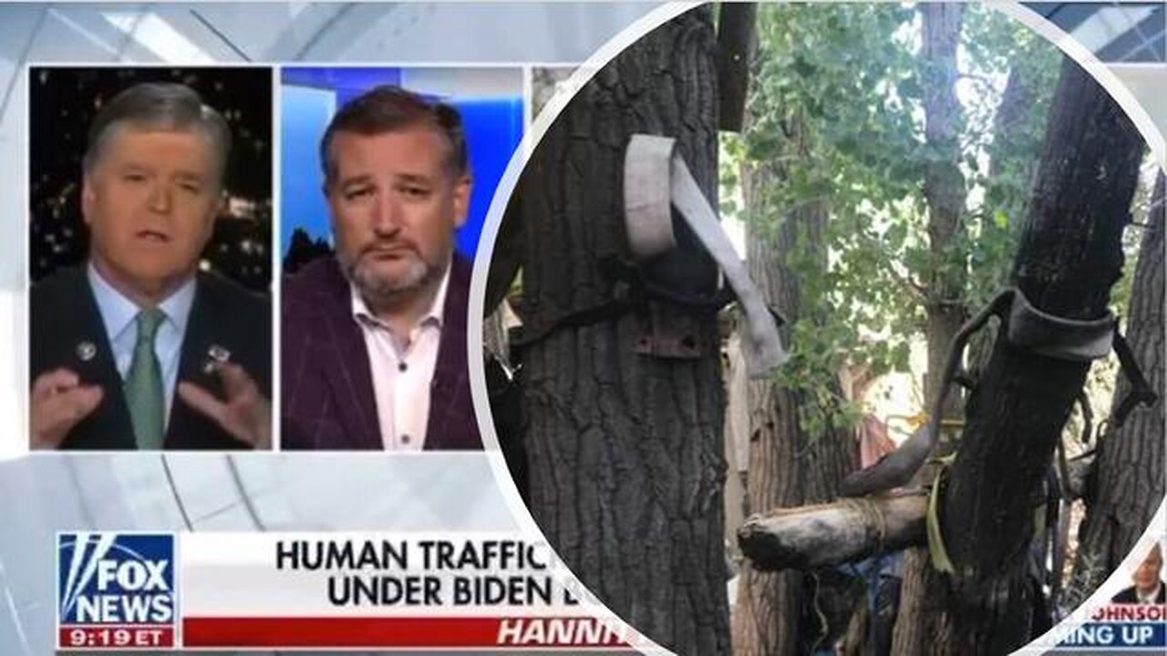 RAPE TREES, UNDERWEAR TREES, SHOE TREES, (THE FOOTAGE NOT AIRED ON HANNITY)